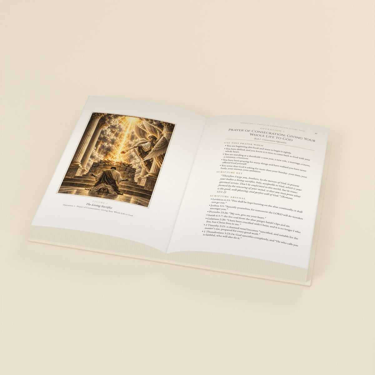 Deluxe Hardcover open at Figure 1, The Living Sacrifice, and Operation 1